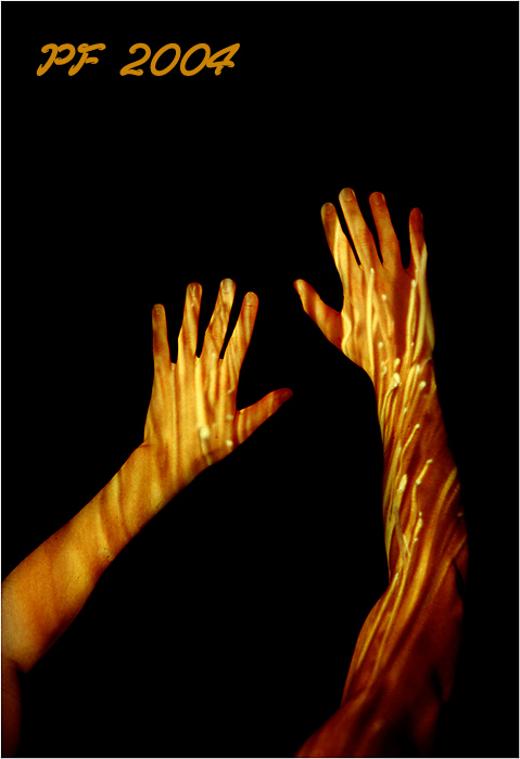 PF 2004