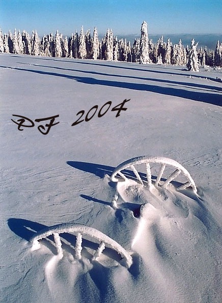 PF 2004