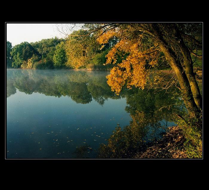 Milotický rybník II