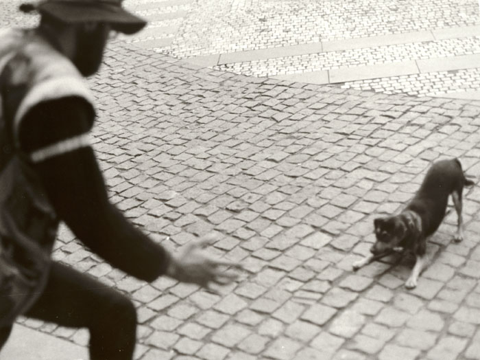 Z cyklu Ulice
