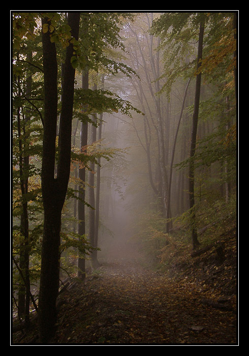 Cesta do neznáma II.