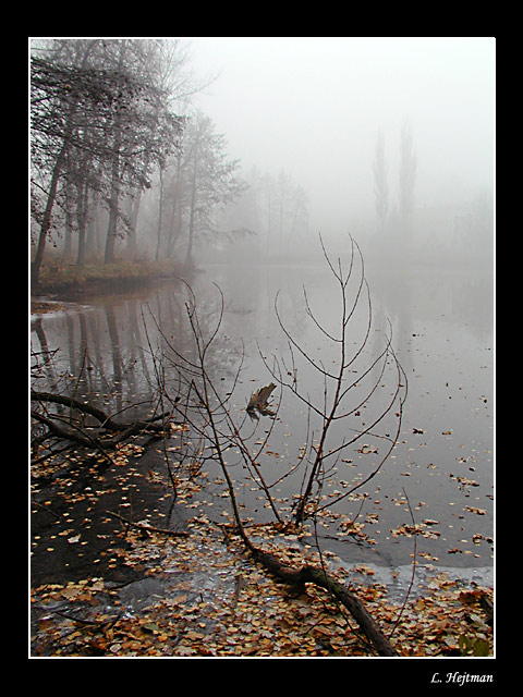 Mlhovka