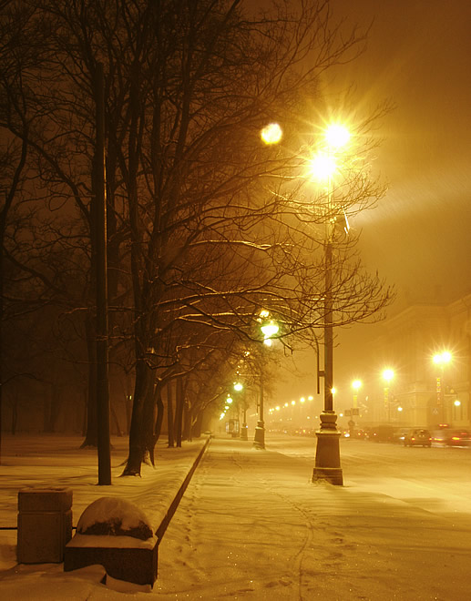 Night in St. Peterburg