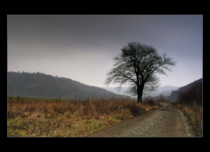 cestou necestou, polem nepolem ...