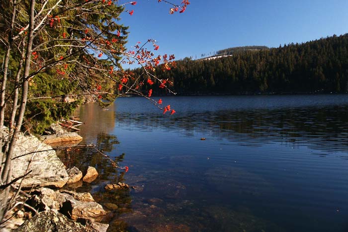 Černé jezero - Šumava