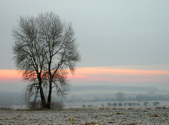 ranní