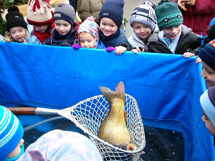 Tak toto je tá zlatá rybka?