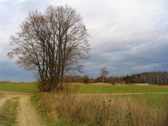Krajina