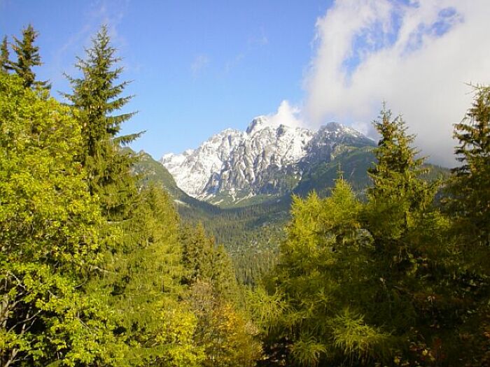 Vysoké Tatry