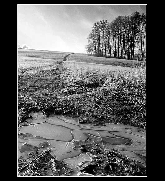 Untitled 2