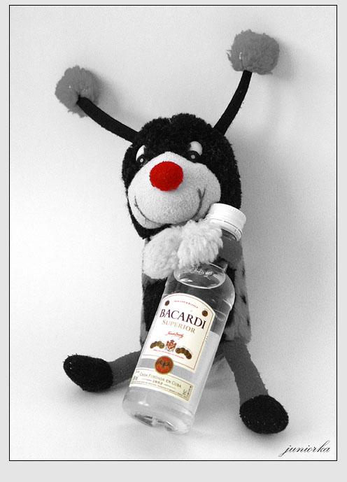 Brumteles a BACARDI