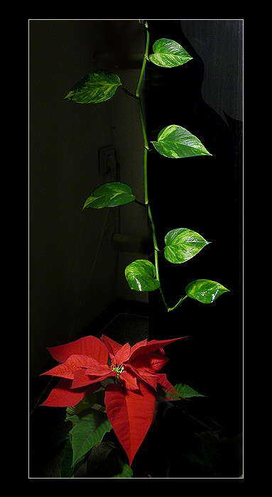 Redandgreen