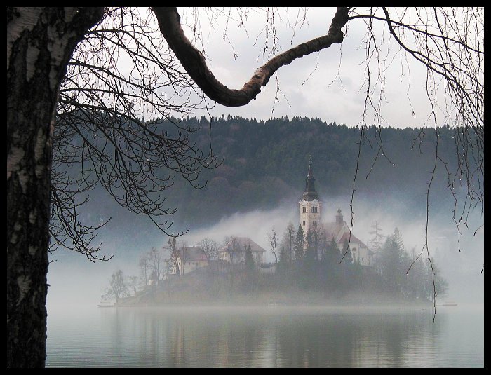 Ostrov