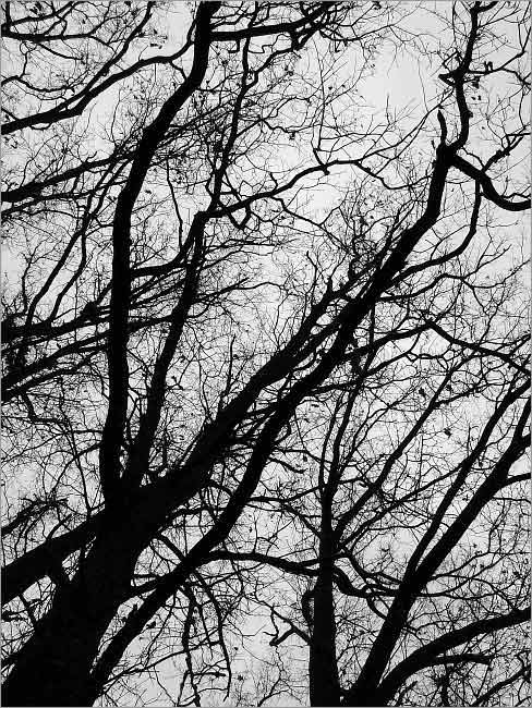 Až opadá listí z dubu