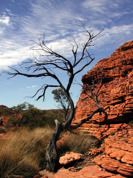 Kings Canyon