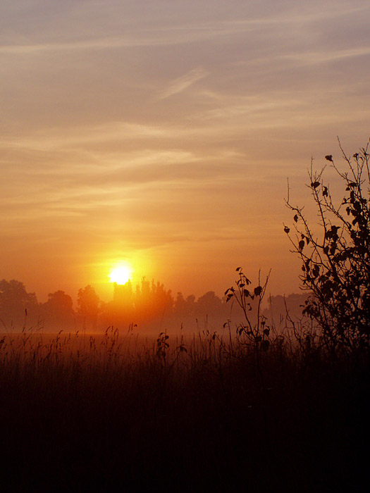 Východ nad Valdštějnovou alejí
