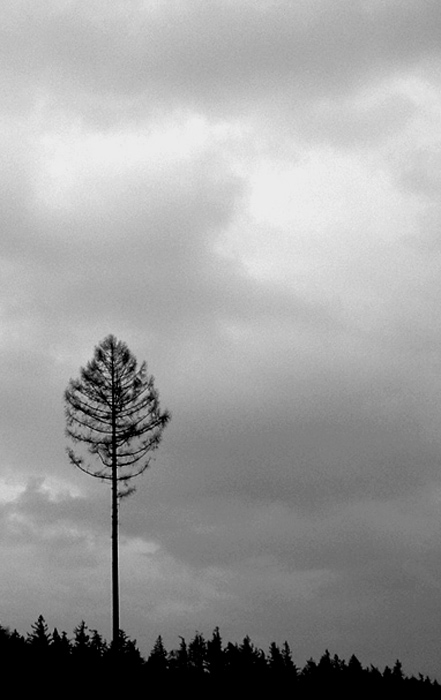 strom