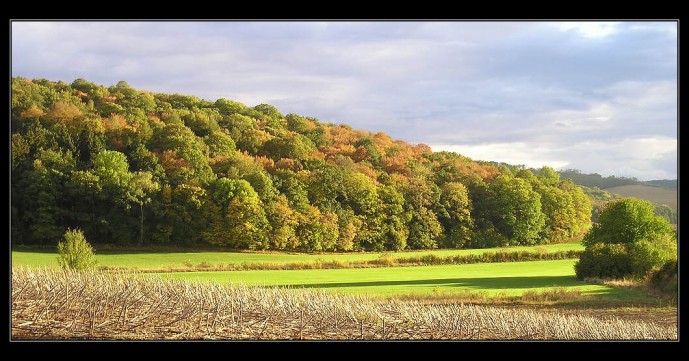 Začátek podzimu ? (2)