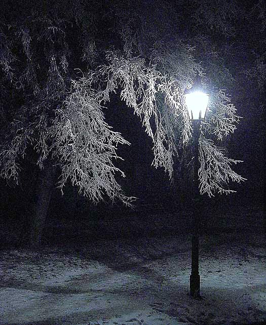 Zimní lampa