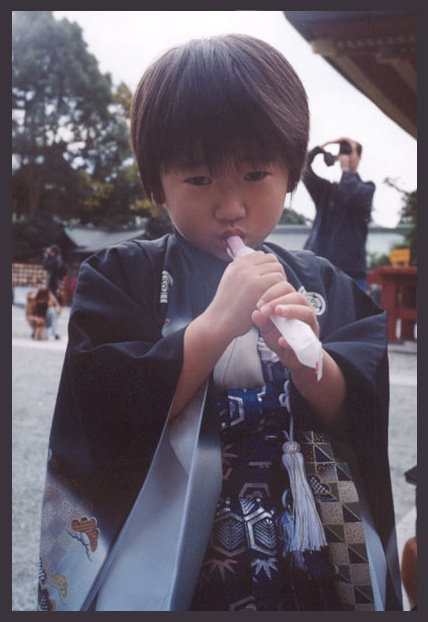Stydlivý Japončík v Kamakuře