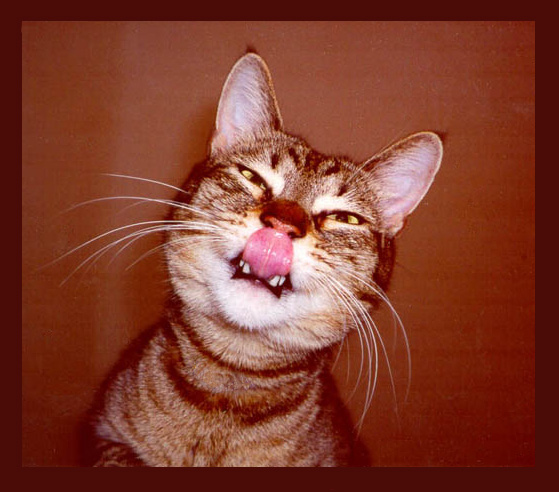 Jsem ti říkal, že si na špičku dosáhnu