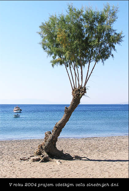 PF 2004