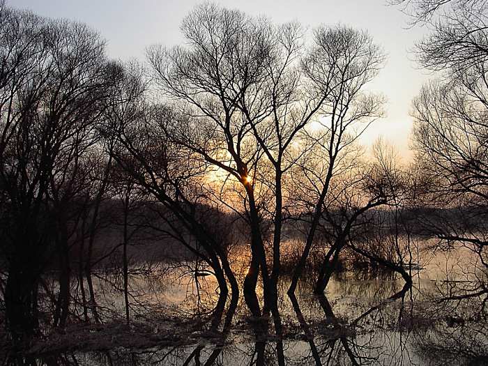 Vysoka (pri) Morava(e)
