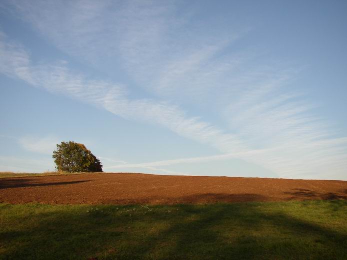 Podzimni krajina