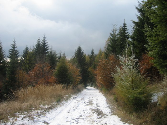 Podzimní krajina