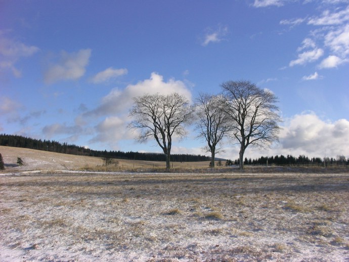 Tri statecni