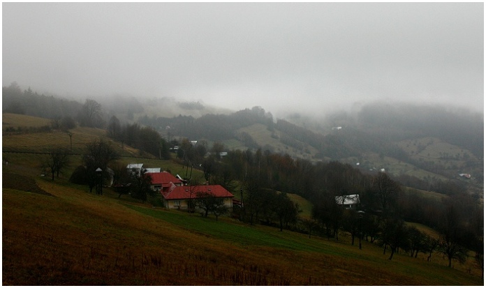 Vyškovec