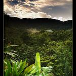 .:: Po probuzení ::.