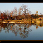 Podzimní zrcadlení