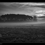 Ranní mlhy v Č/B