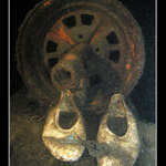 Zátiší s cvičkami