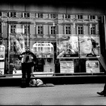 Psí život: minority report