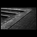 <b>: : > > > : : </b>