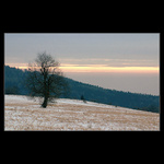 Dnesni dopoledne u nas....