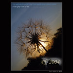 <b> - Pf 2004 - </b>