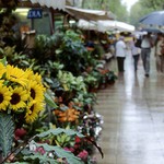Las Ramblas - Barcelona