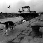 14.11.03 Rašínovo nábřeží 14:30