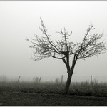 <b>Doma</b> - Sam v hmle