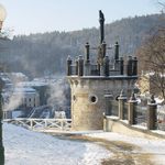 Karlovarská raní vánoční idilka s kočkou