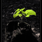 <b>Ohřát</b> se tak na <b>výsluní</b>