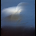 Pod vlivem chlastu .....