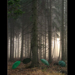 Nezaprší a nezaprší II