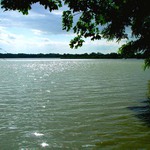 Jaroslavický rybník