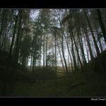 Podzim na Kokořínsku II.