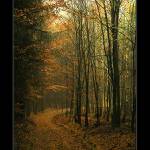 Ještě jednou Kokořínsko