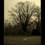 Toulky po Slatiňanském parku I